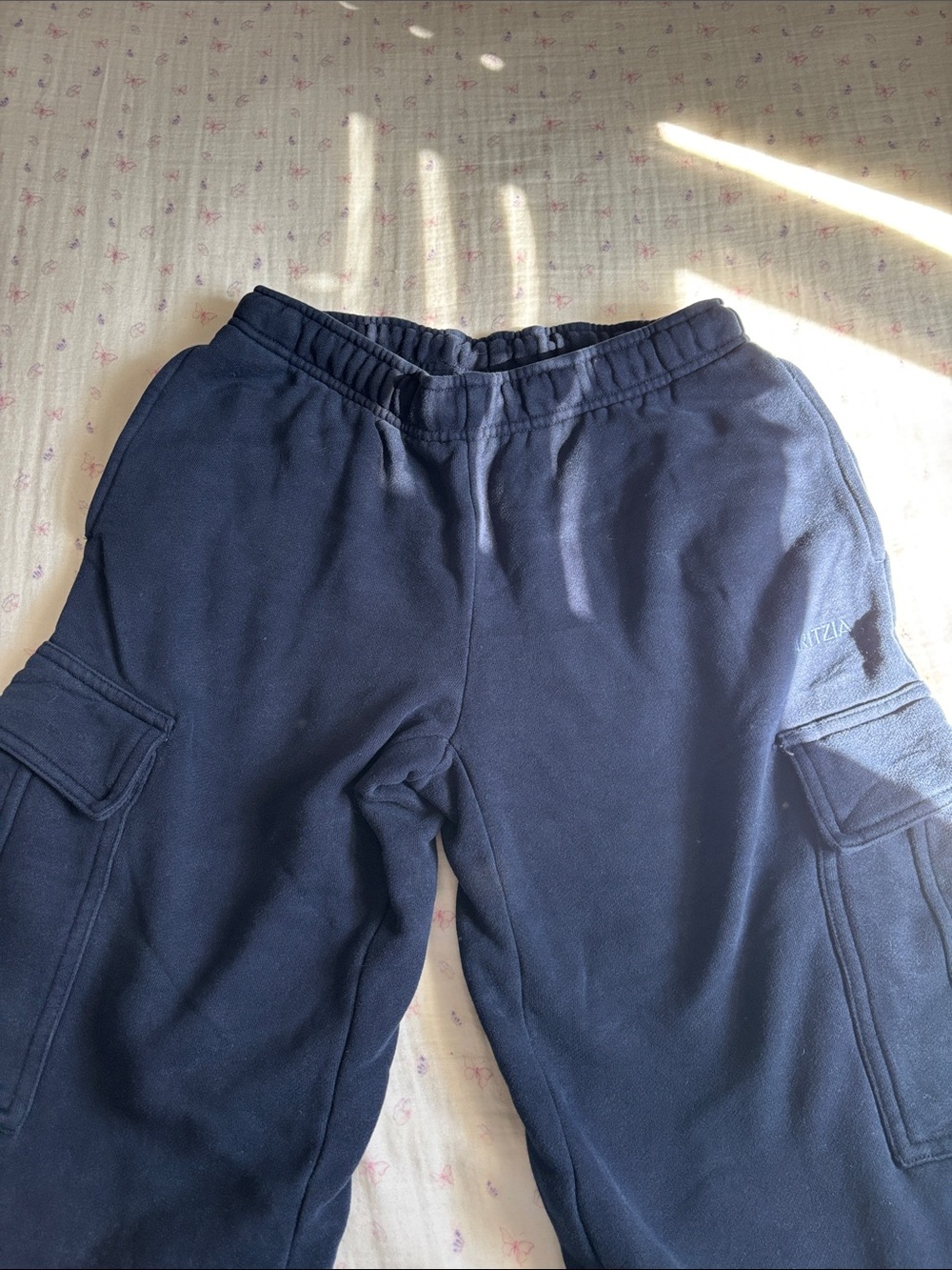 Aritzia Dark Navy Cargo Joggers